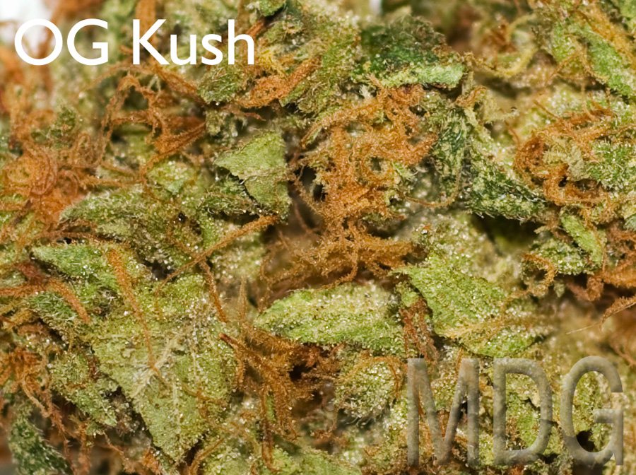 Orange Kush Weed