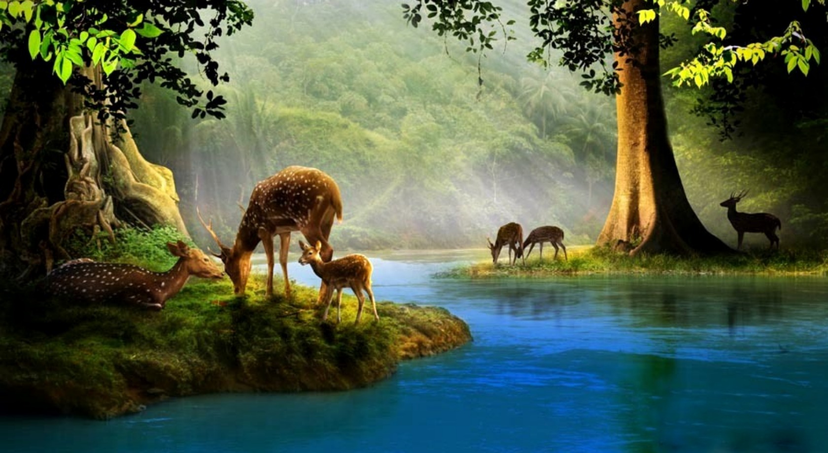 Deer Puter Wallpaper Desktop Background Id