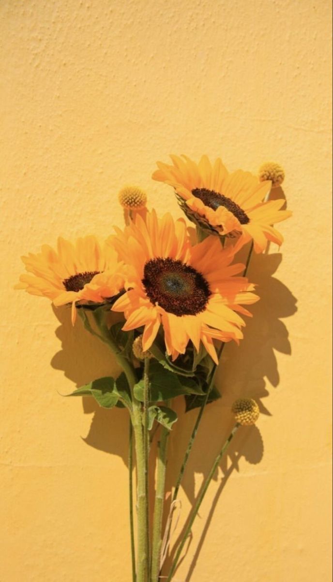 Pin De Vit Ria Gabriela En Yellow Wallpaper