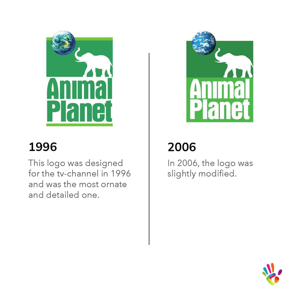 Get Ready To Explore The Amazing Animal Kingdom With Wallpaper