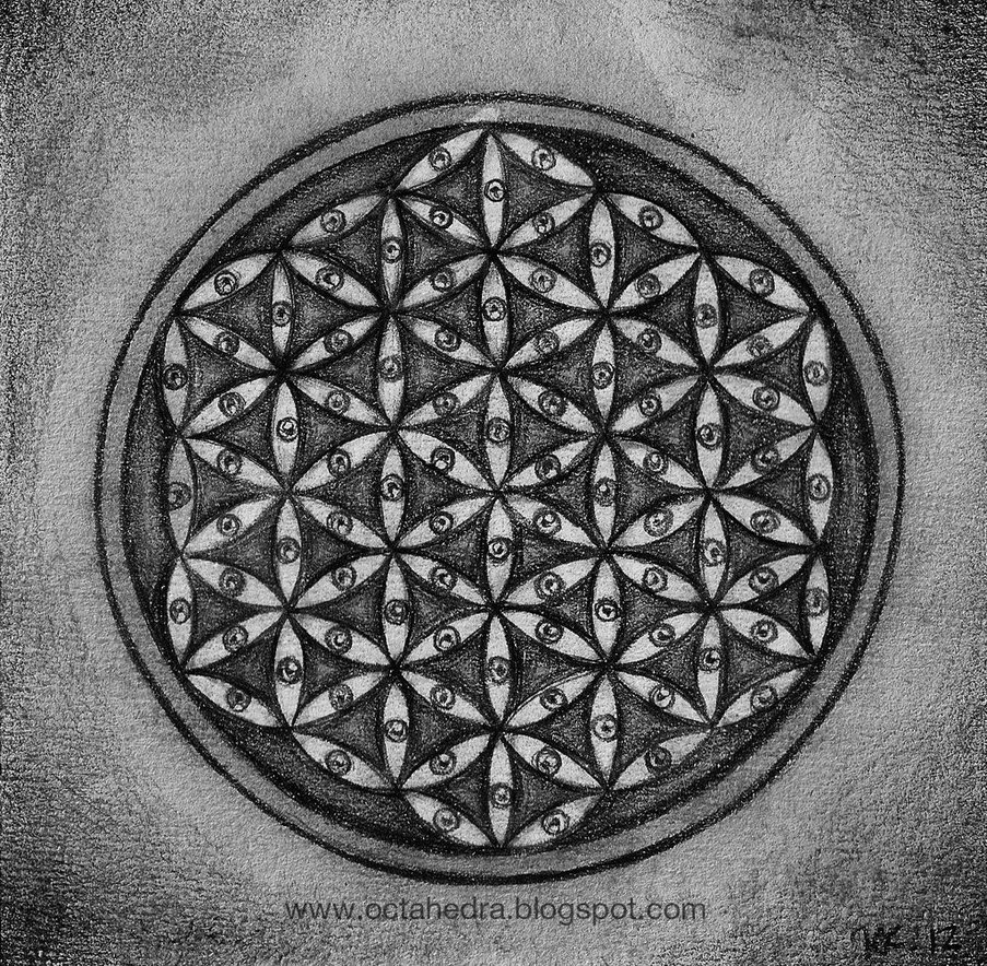 Flower Of Life Iphone Wallpaper Flower of life   visions