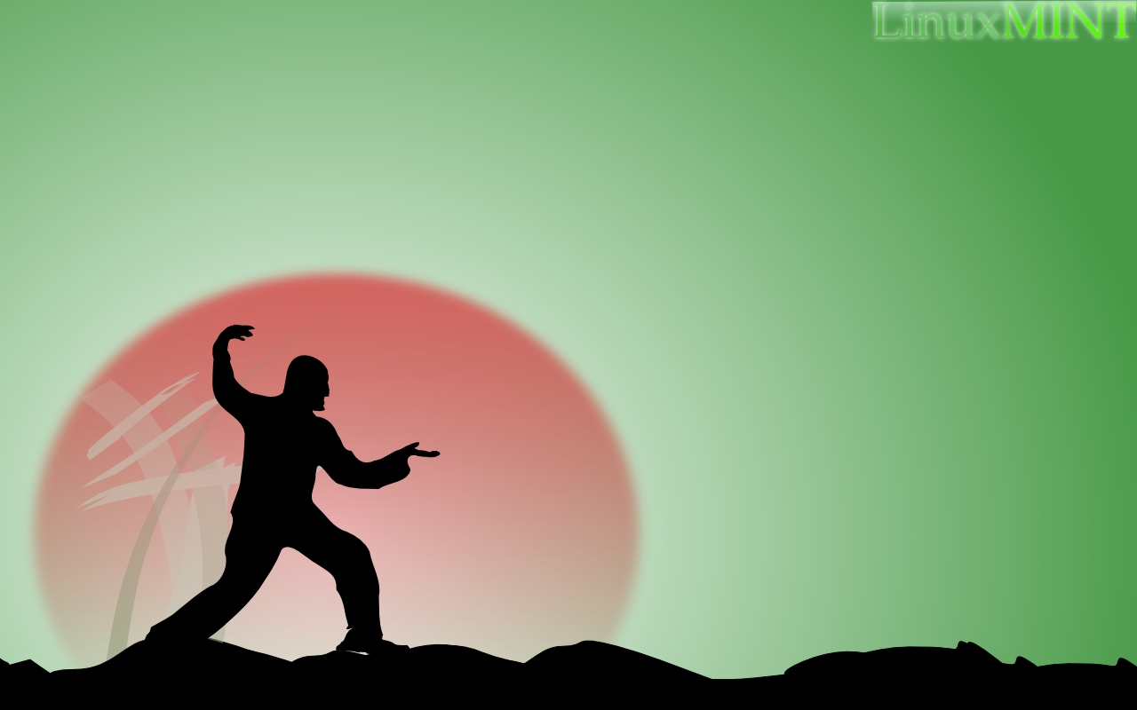 Kung Fu Background Wallpaper
