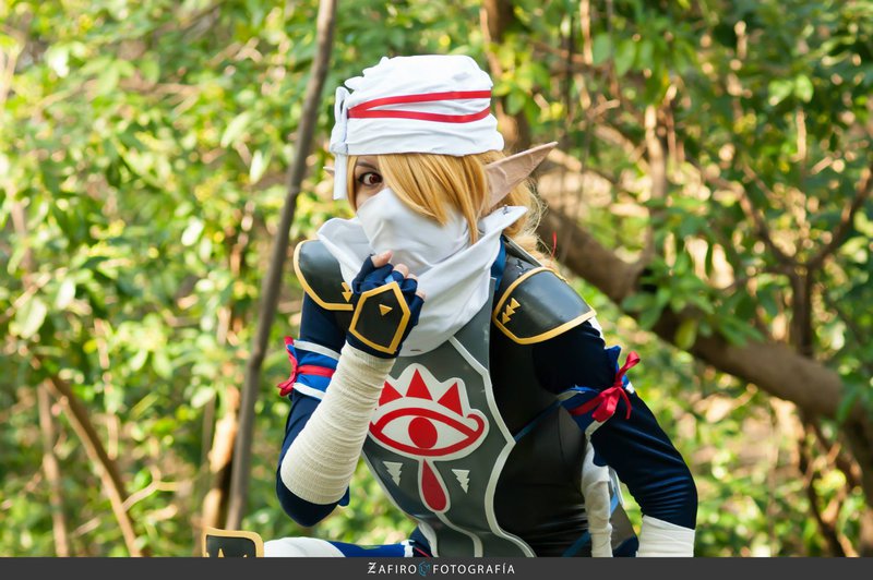 Sheik Of Hyrule Warriors By Melodyzombie
