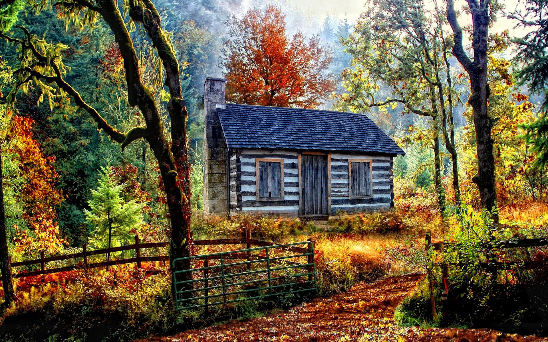Cottage In Autumn Forest High Quality And Resolution