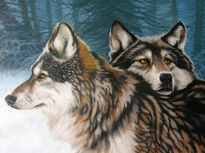 Wolves In Love Wallpaper