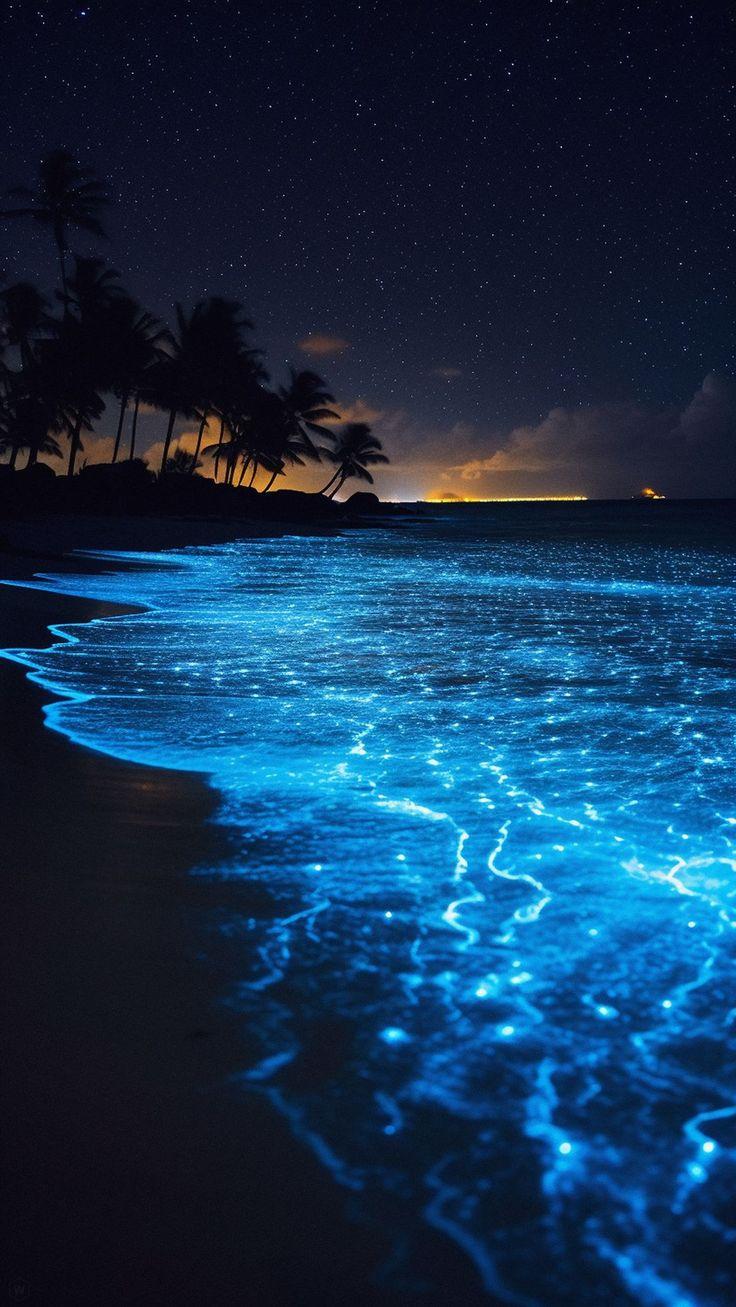 4k HD Wallpaper Sea Glow Shore Palm Trees Night Starry