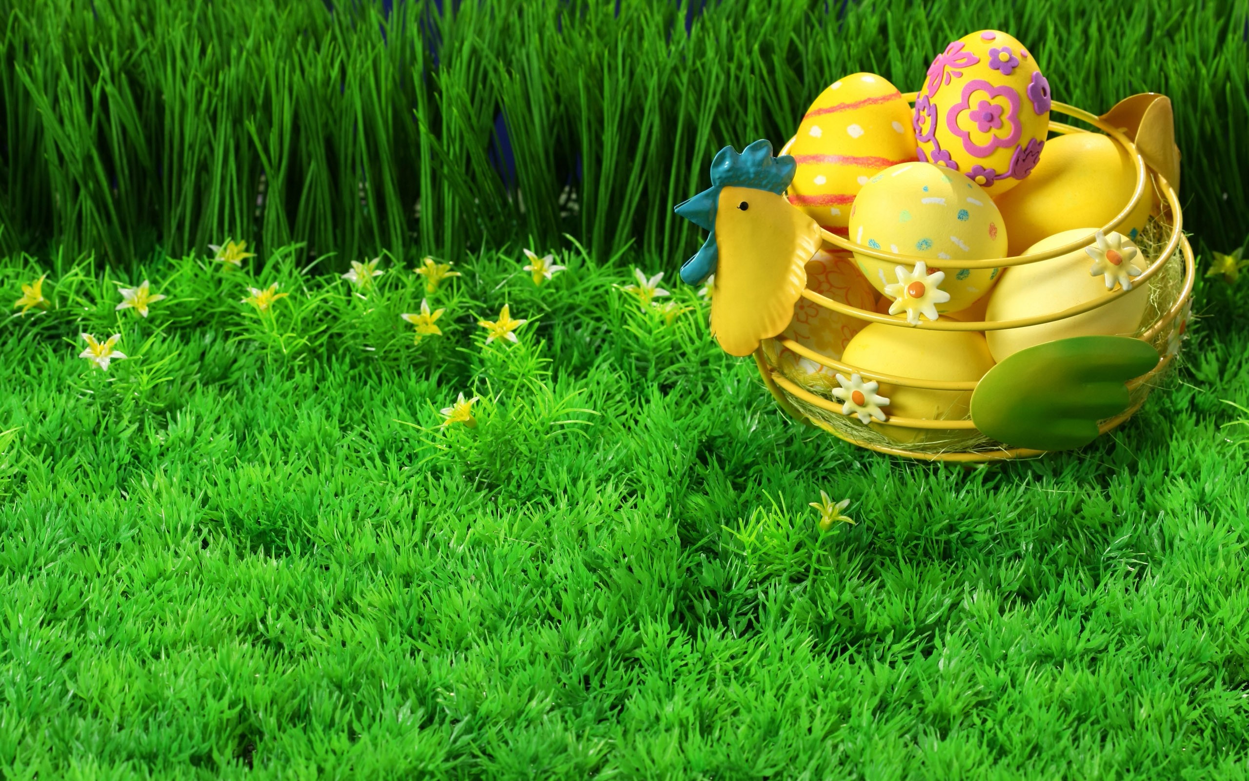 Eggs Android Wallpaper Spring Chicks And HD For