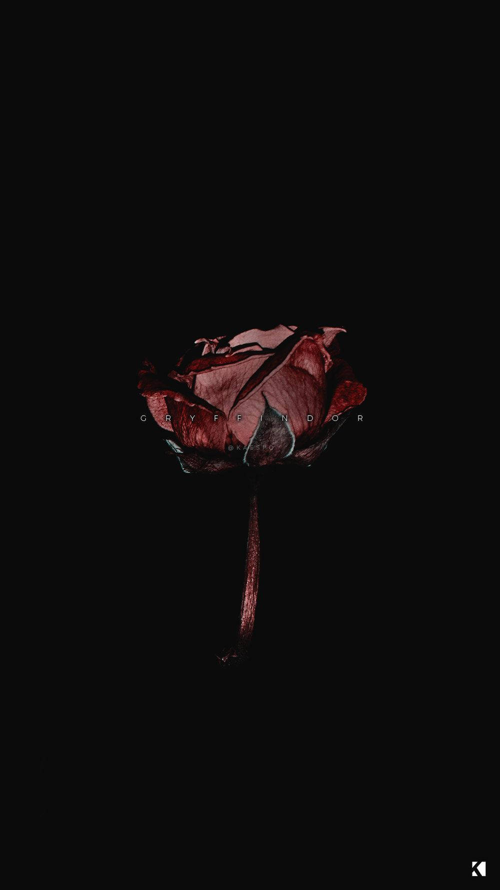 Black Aesthetic Wallpaper