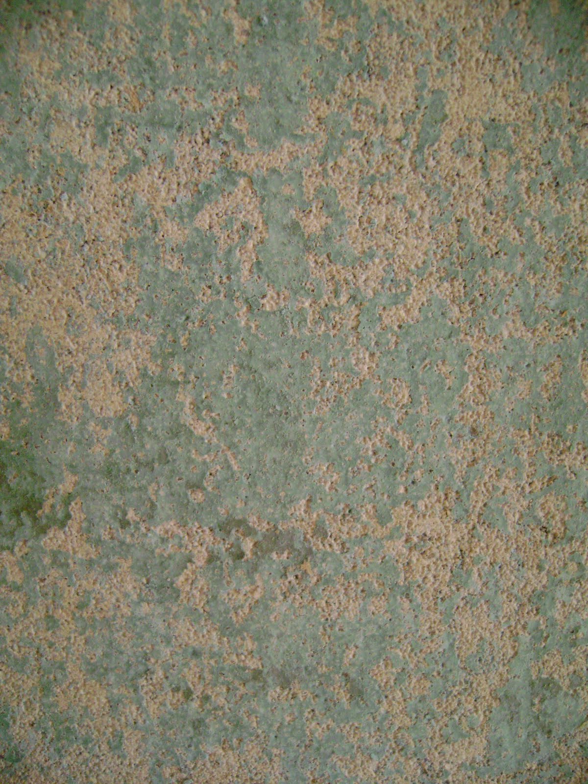 Free download Acrylic Sealer Undercoat 10L NZ Made Trade Me [563x600] for your Desktop, Mobile