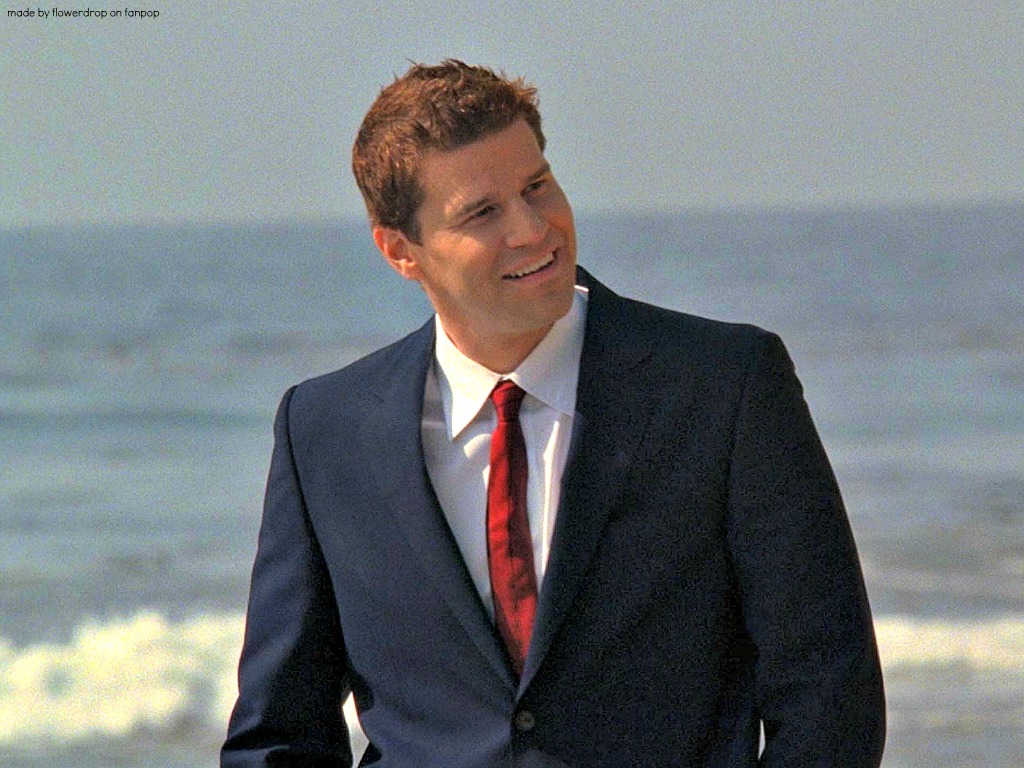 David Boreanaz Wallpaper