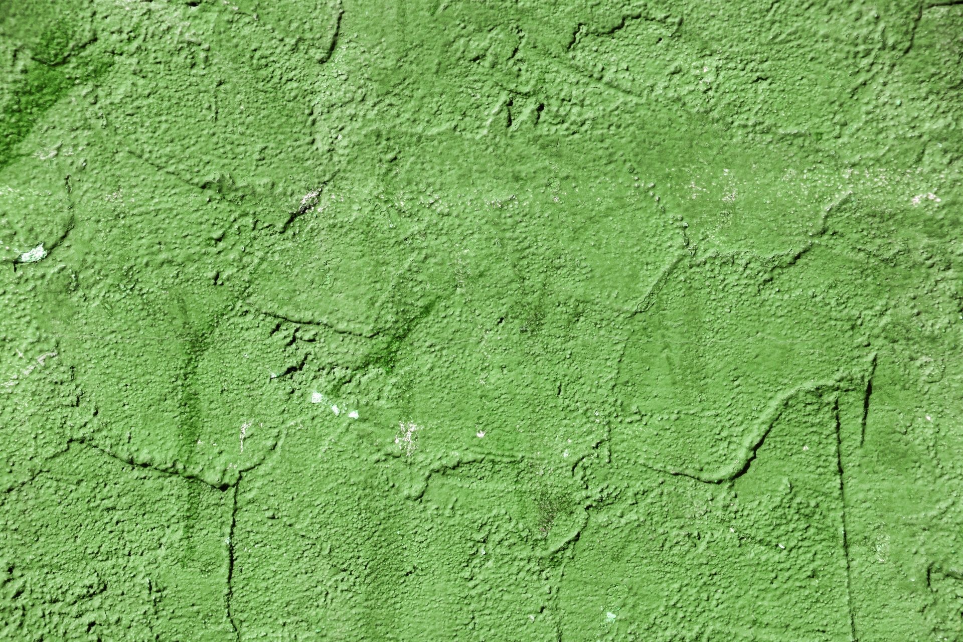 Green Stucco Wall Background One Of Over Image