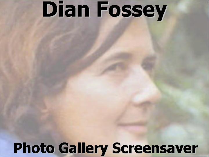 Dian Fossey Death Investigation