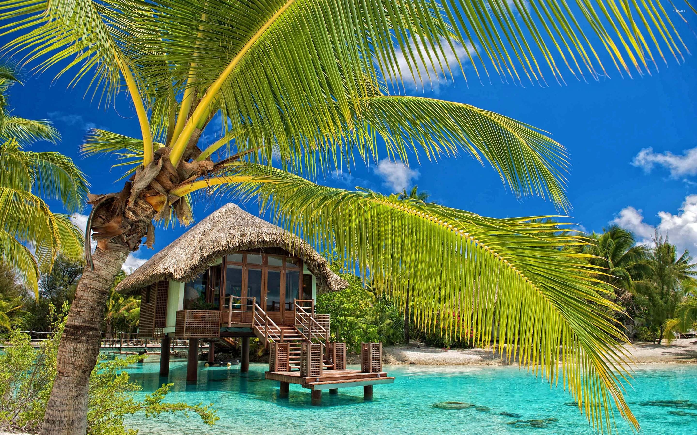 Hut In The Water By Palm Trees Wallpaper Beach