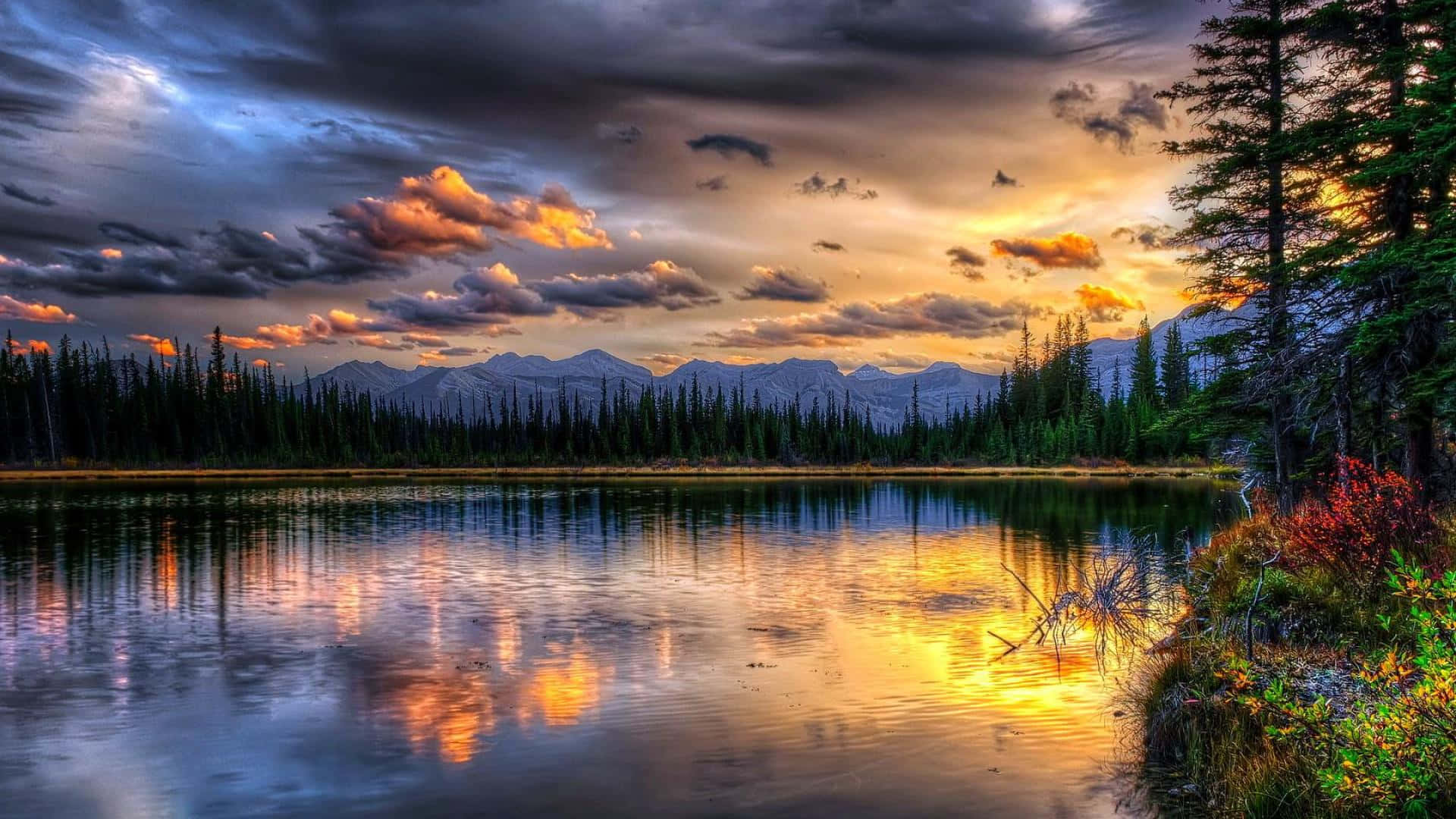 Beautiful Scenery Desktop Wallpaper