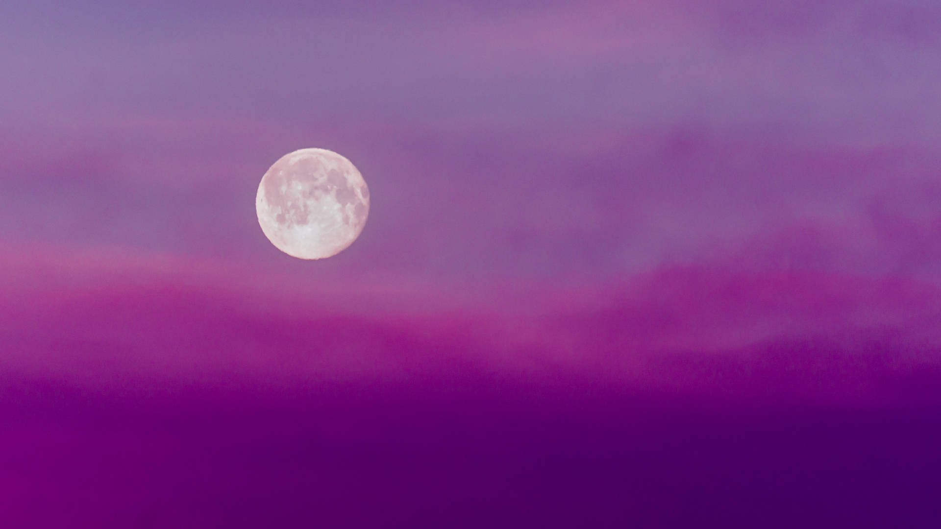 Purple Night Sky Wallpaper