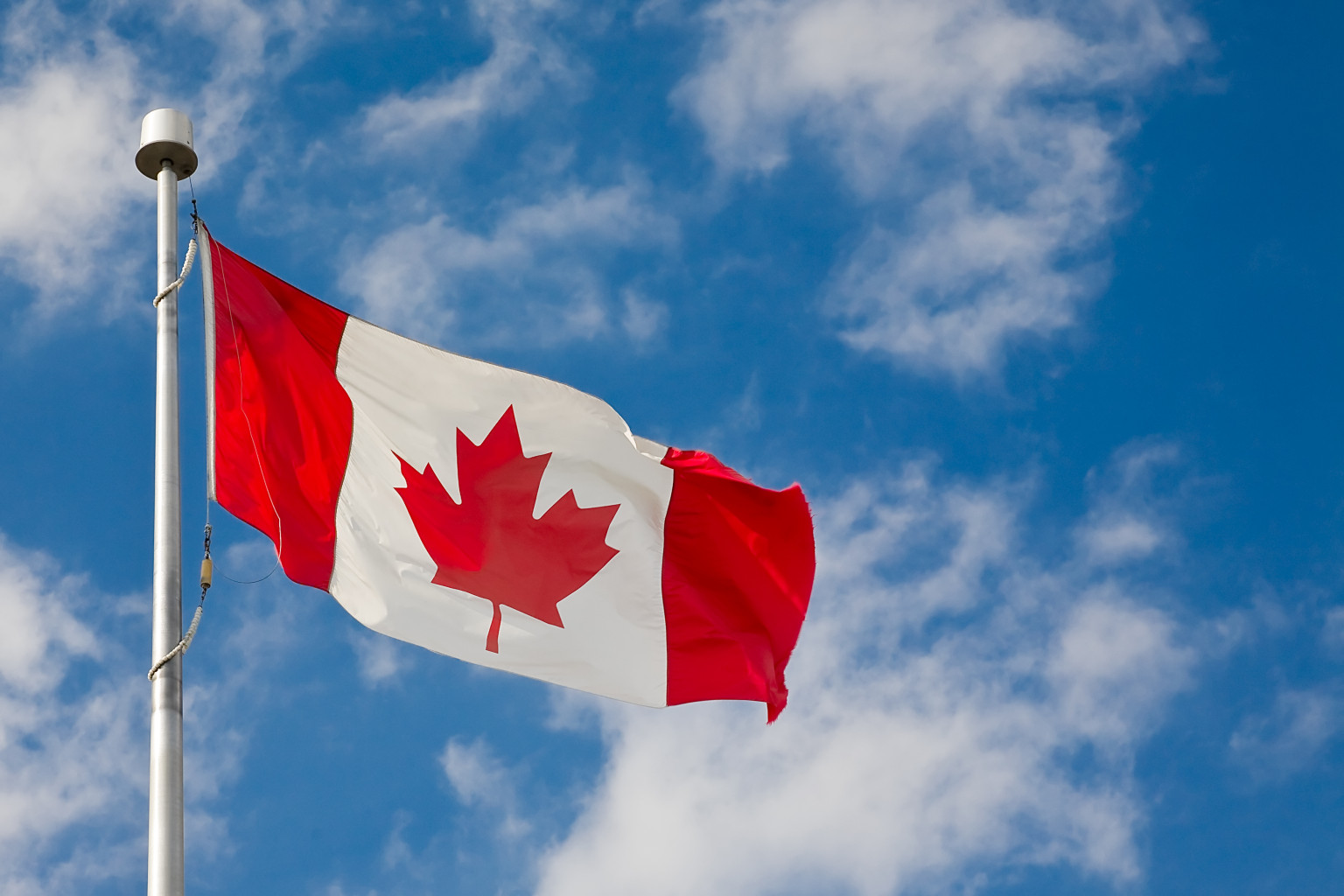 Canada Flag Group canada day HD wallpaper  Pxfuel