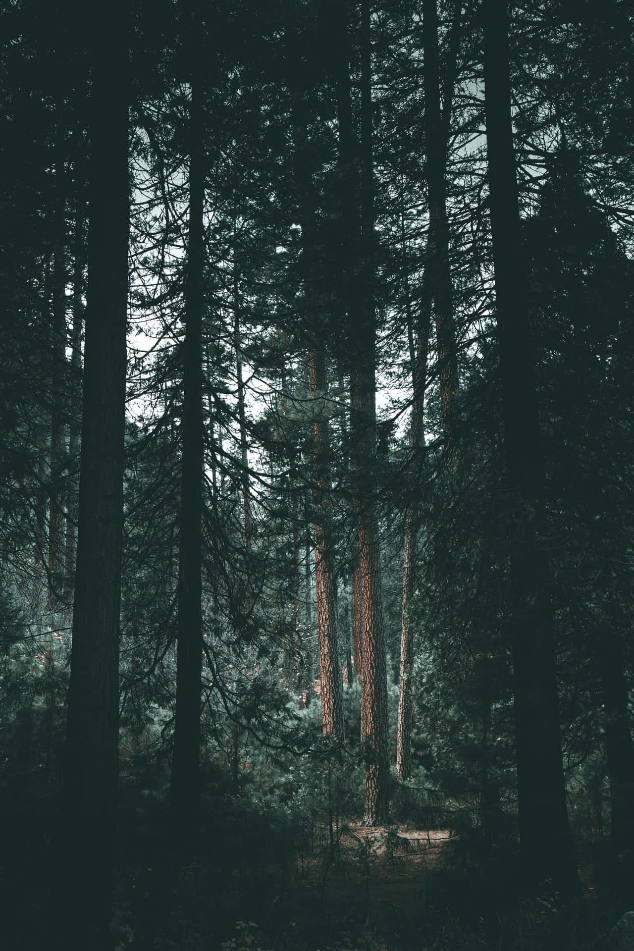 Moody Aesthetic Wallpaper