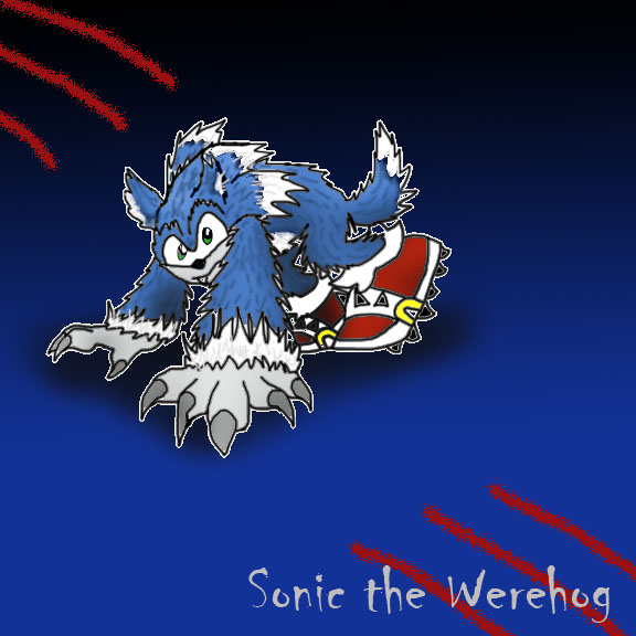 The Werehog By Sonicfan306444 Sonic Photo
