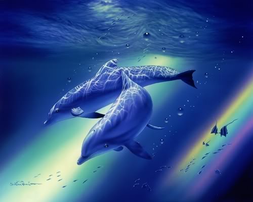 Dolphins Wallpaper Dolphin Desktop