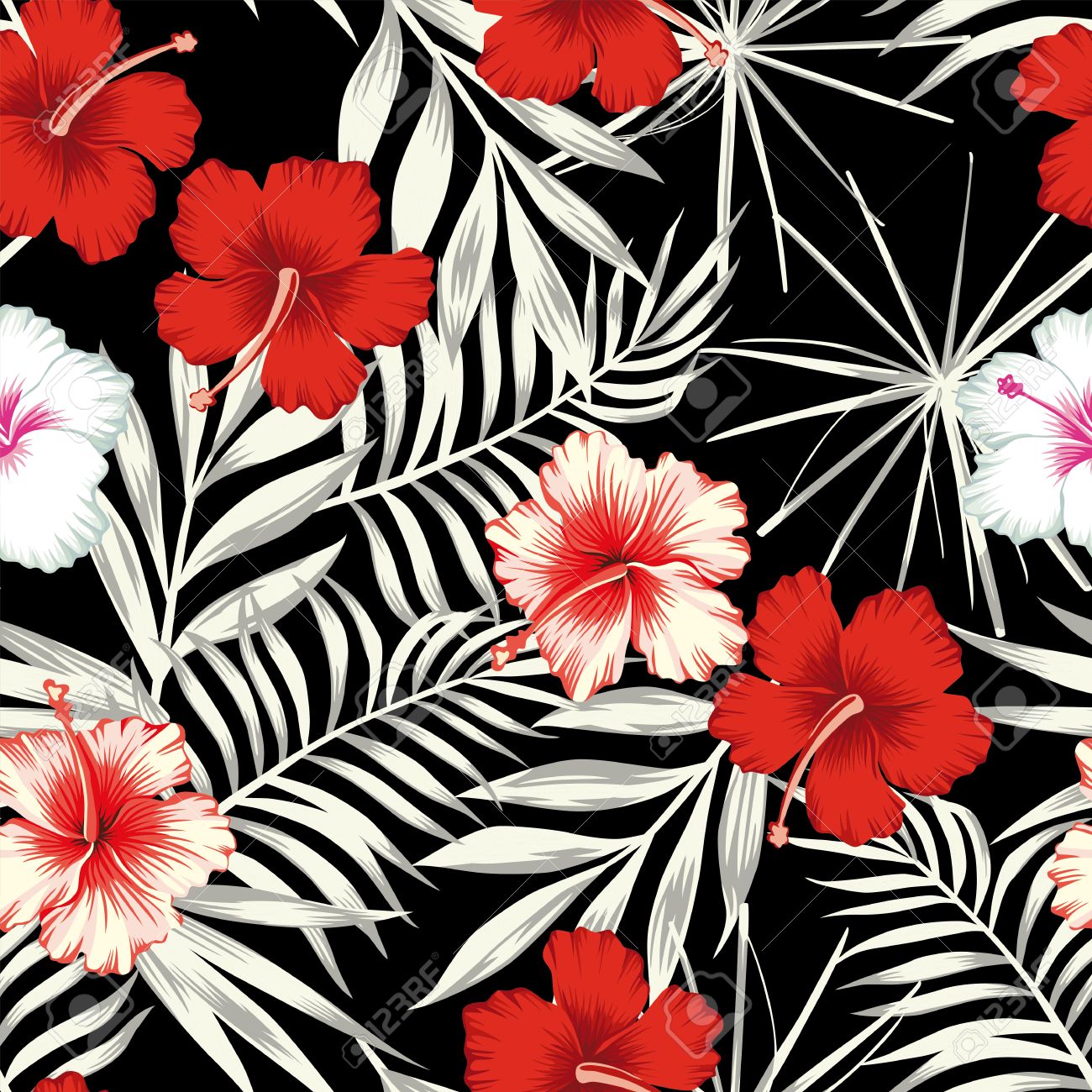 Red White Hibiscus Flowers On A Black And Background Of