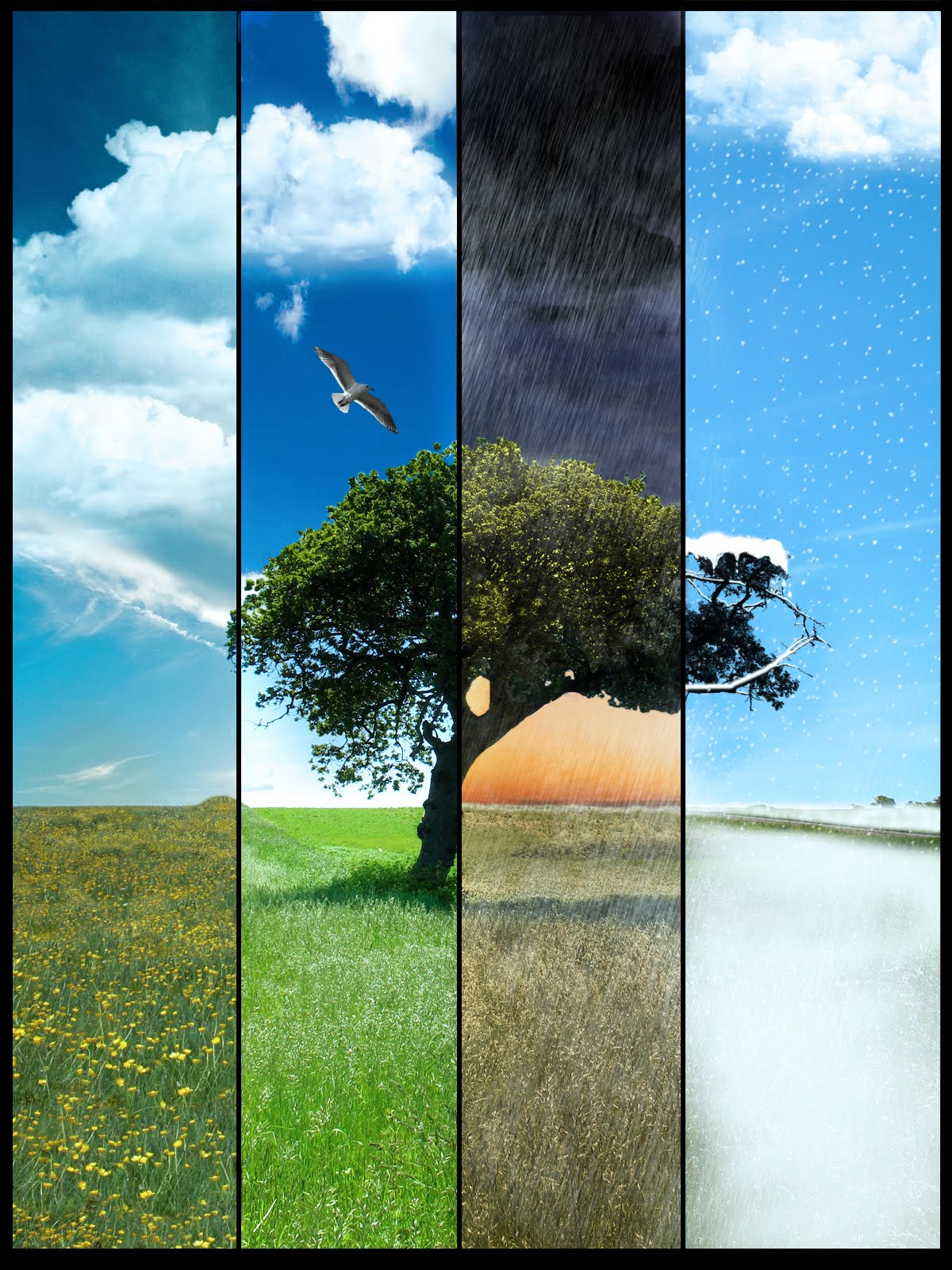 Four Season Change Desktop Wallpaper Selections