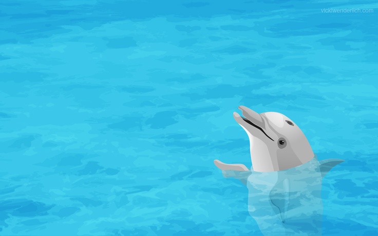 Dolphin Wallpaper Dolphinz
