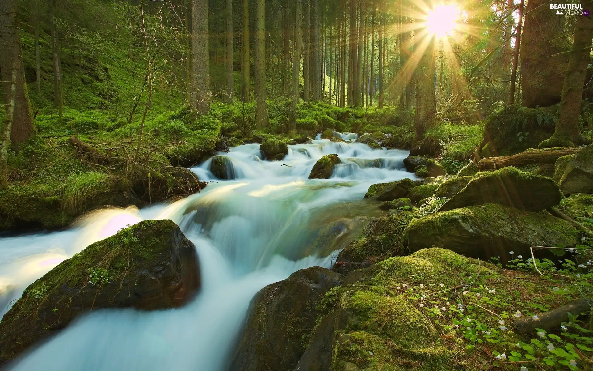 Waterfall Rays Of The Sun River Forest Wallpaper