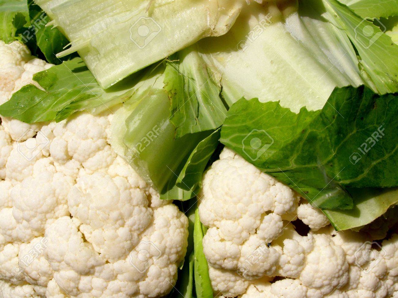 Cauliflower Background Stock Photo Picture And Royalty Image