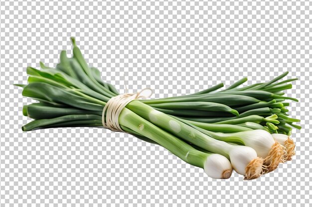 Premium Psd Wallpaper