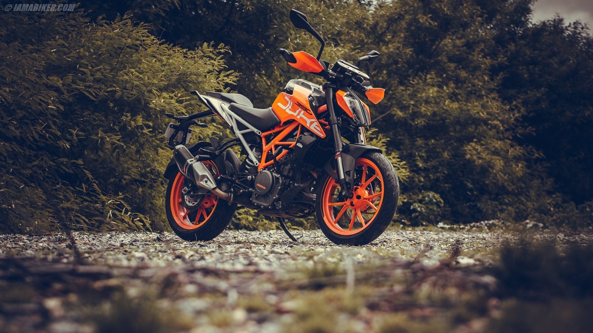 Ktm Duke Bike HD Wallpaper