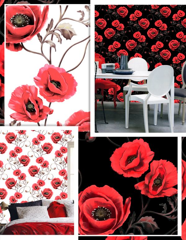 Red Poppy Wallpaper By Ellie Cashman