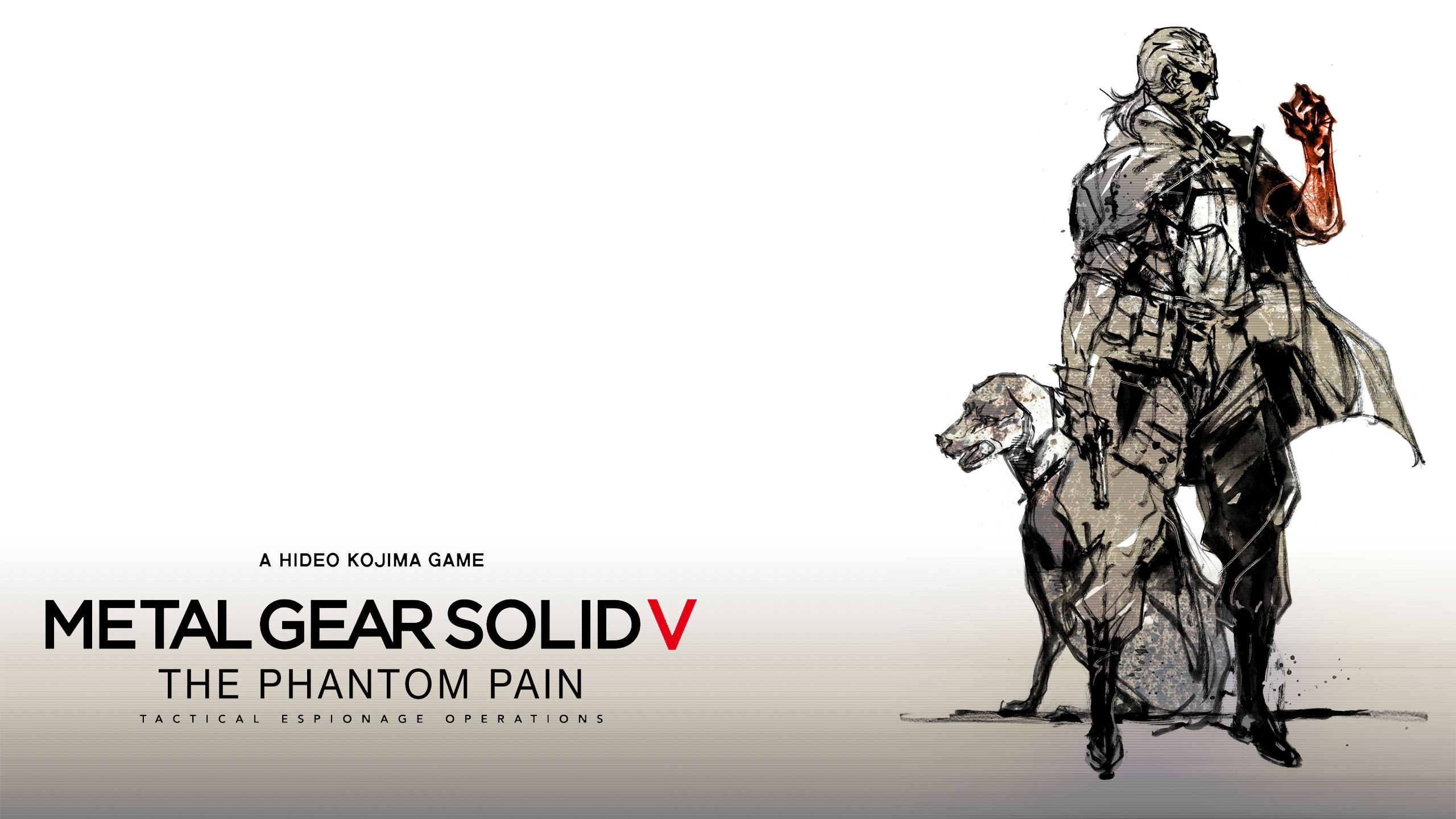 Metal Gear Solid Video Game V The Phantom Pain
