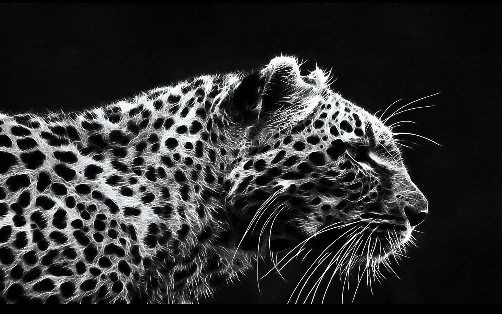 Leopard Black And White Theme Dark Bg HD Wallpaper Jpg