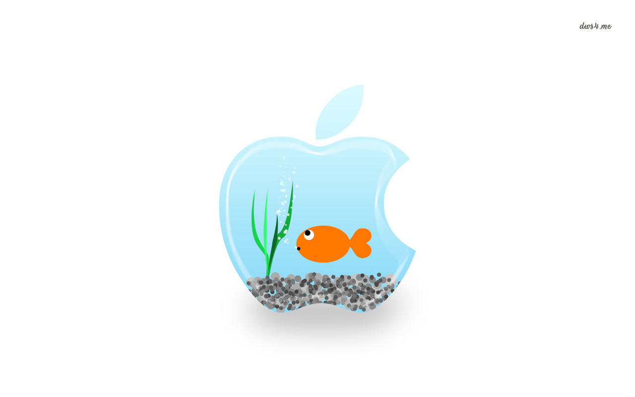 Fish Swimming In Apple Bowl Wallpaper Puter
