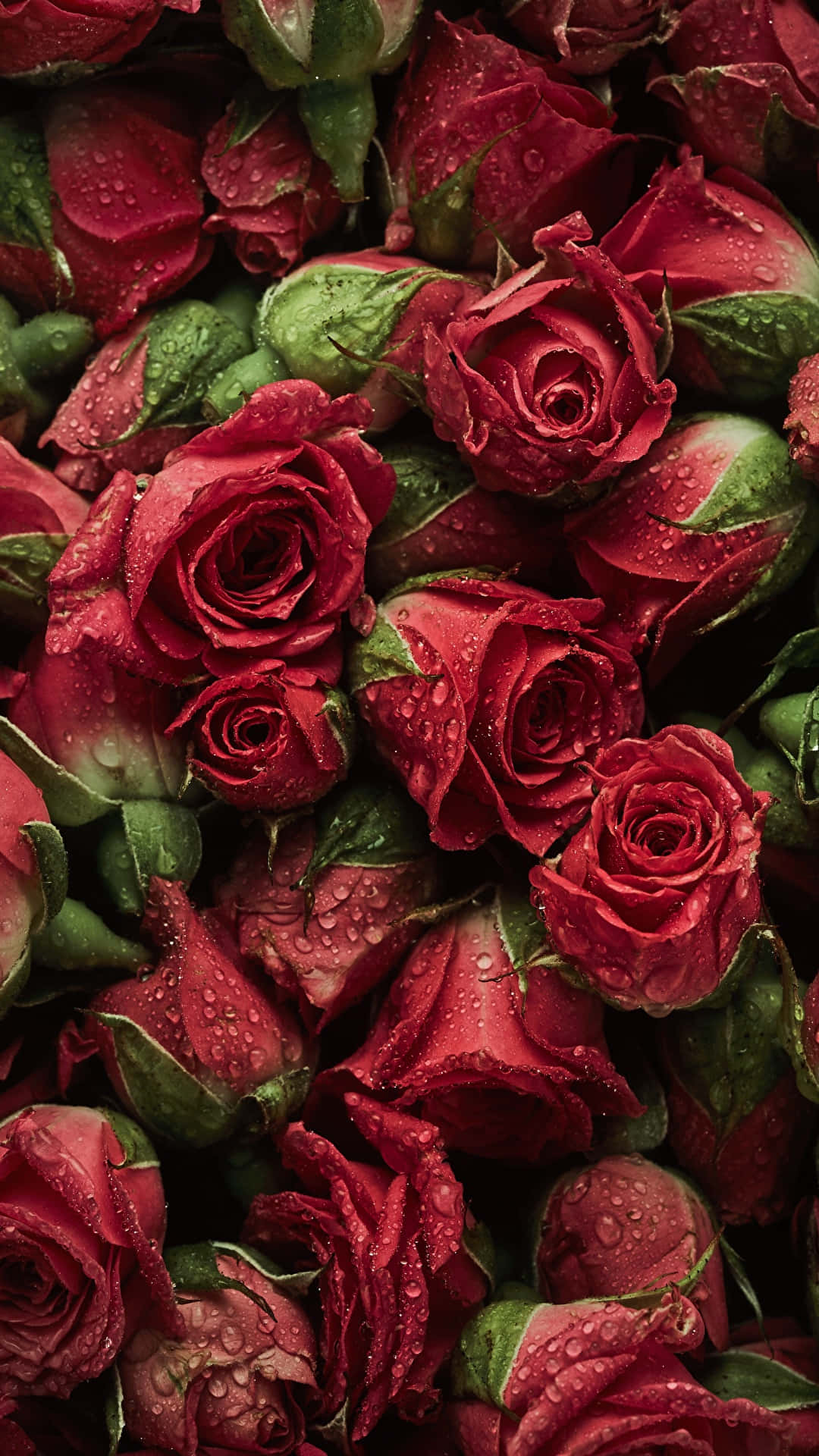 Red Flower Aesthetic Wallpaper