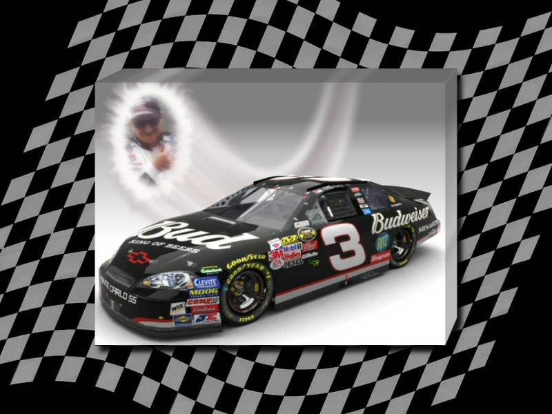 Background wallpaper computer wallpaper for Dale Earnhardt Seal 800x600