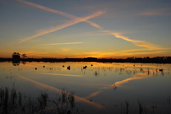 Photo Essay Sunrise From The Duck Blind