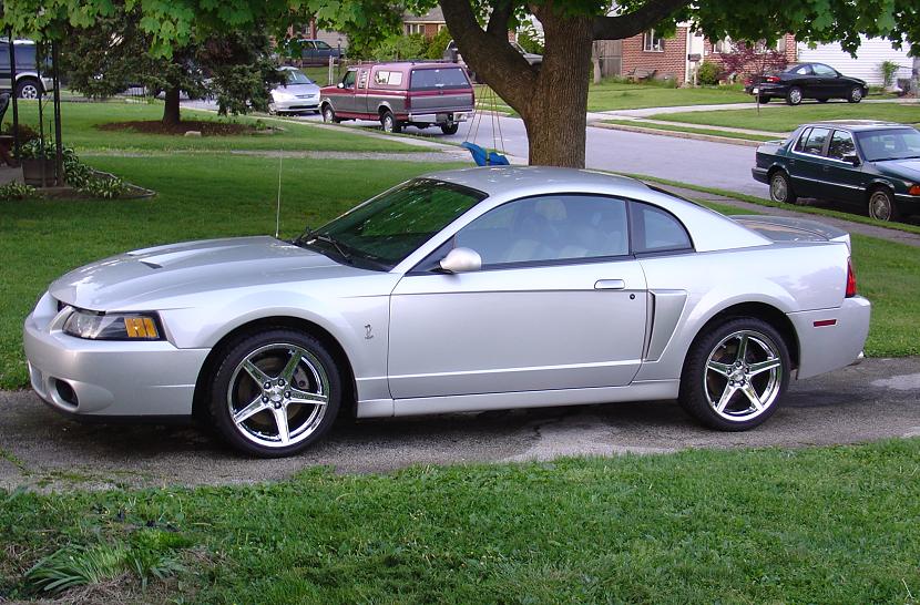 Silver Mustang Cobra Pictures Gene