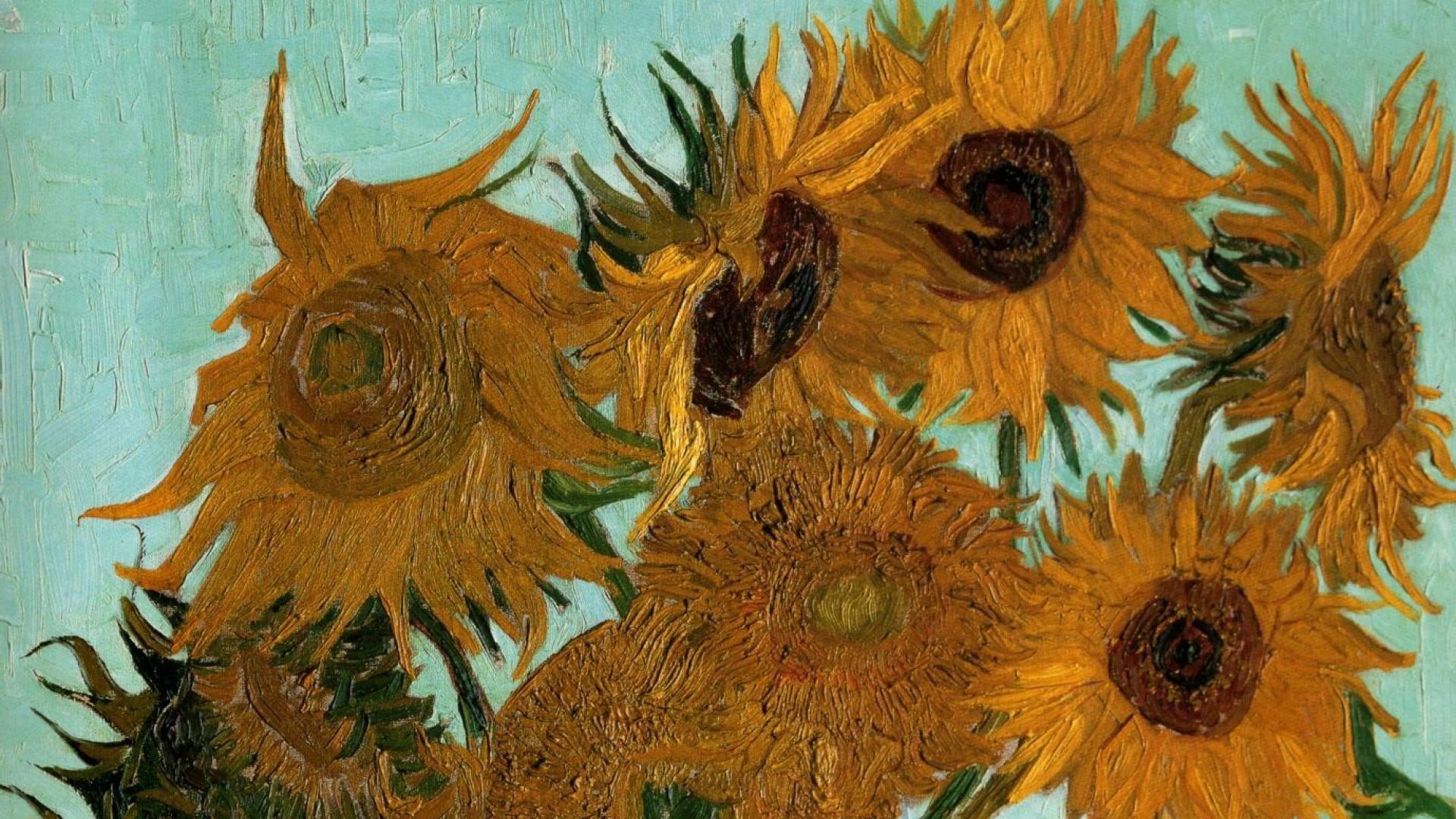 Sunflower Wallpapers: Free HD Download [500+ HQ] | Unsplash
