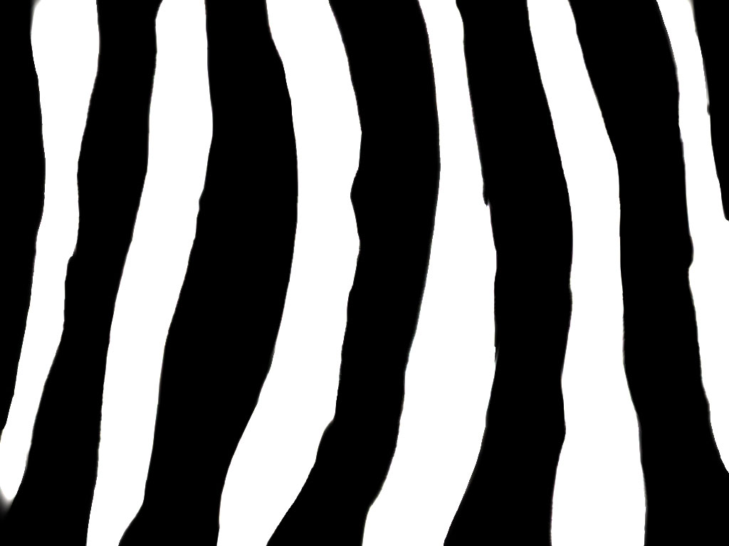 zebra pattern images