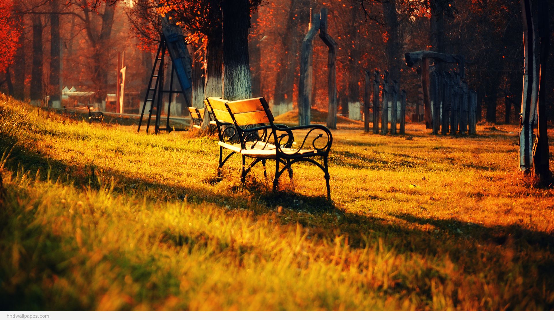 A serene autumn landscape in a park with benches and golden foliage
