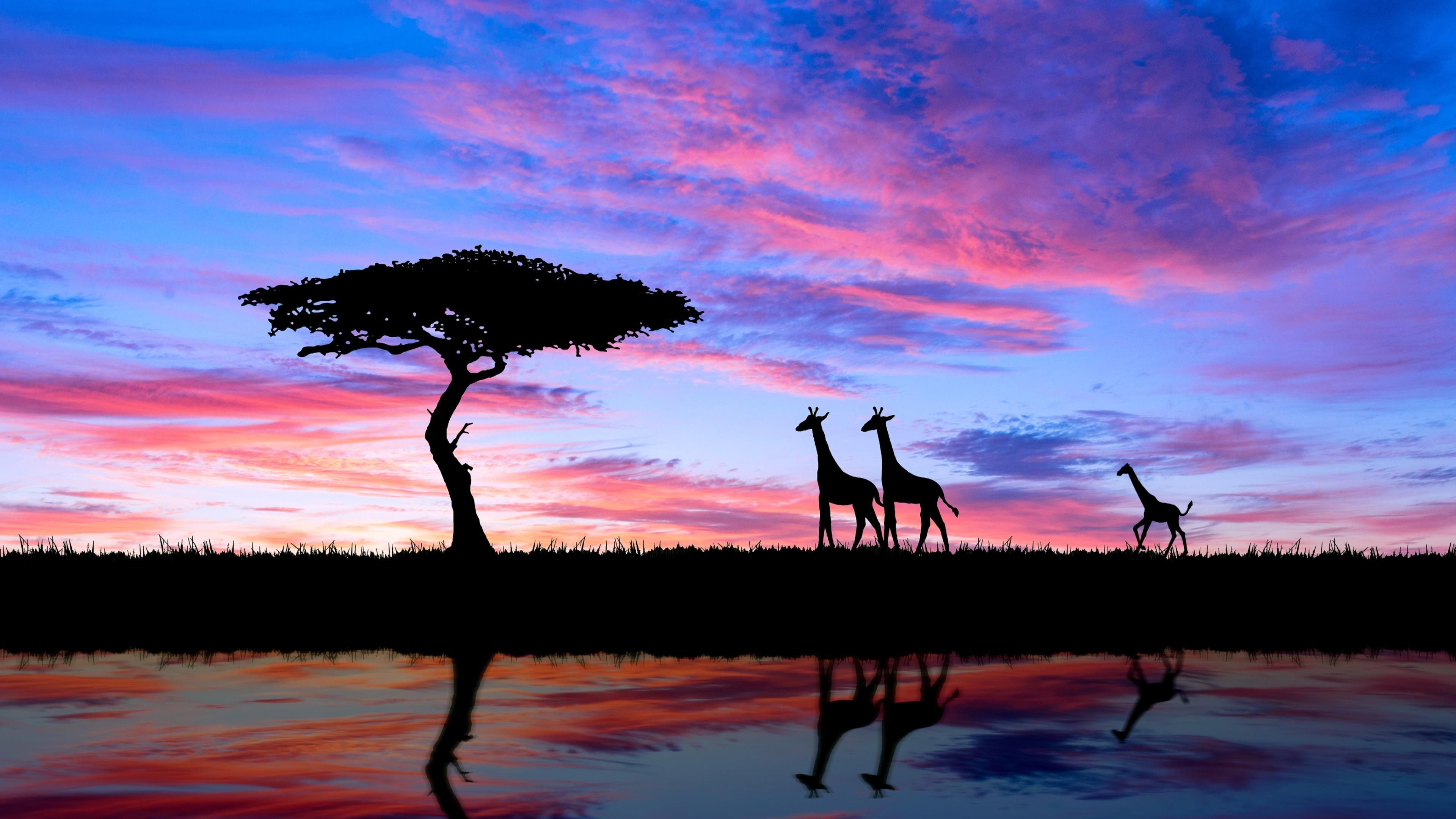 Savannah Sunset Wallpaper