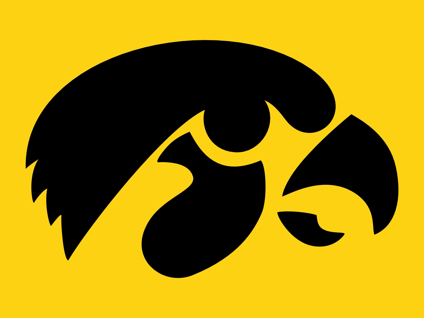 Iowa Hawkeyes Logo