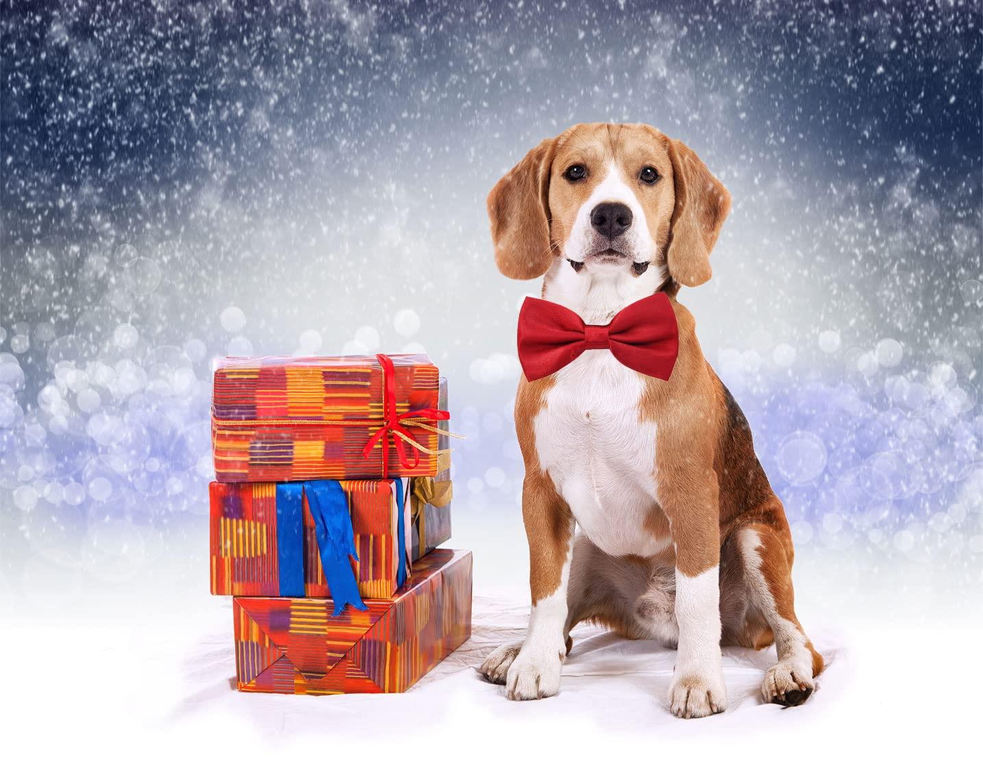 Amazon Amajiji Formal Dog Bow Ties For Medium Large Dogs