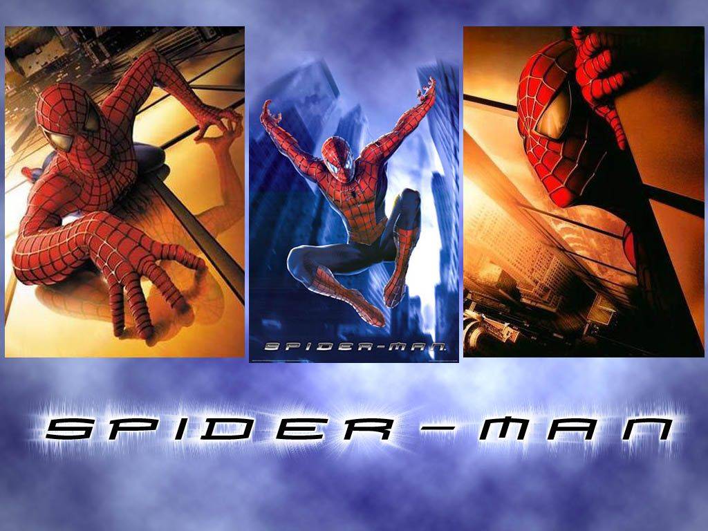 Spiderman 1 Wallpaper Hope you like this wallpaper
