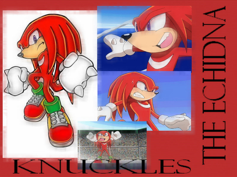 Knuckles The Echidna Wallpaper By Sonaandkatrinachan