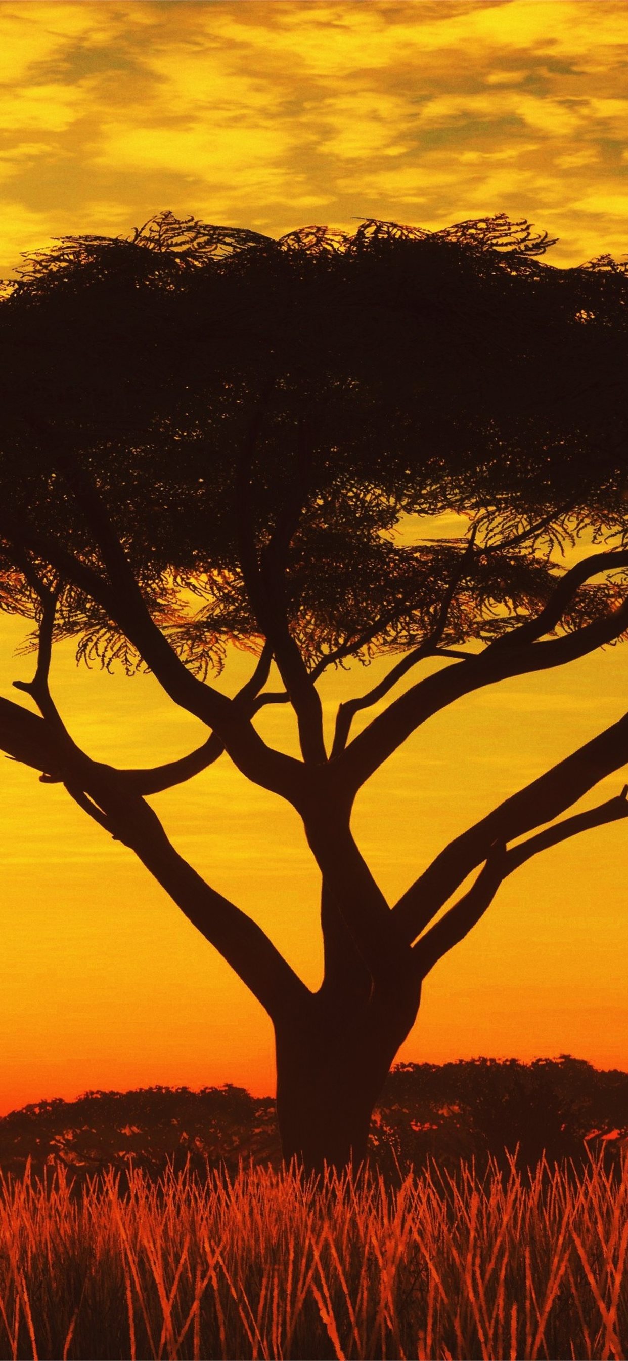 Serengeti Sunset 4k Samsung Galaxy Note S9 S8 iPhone X