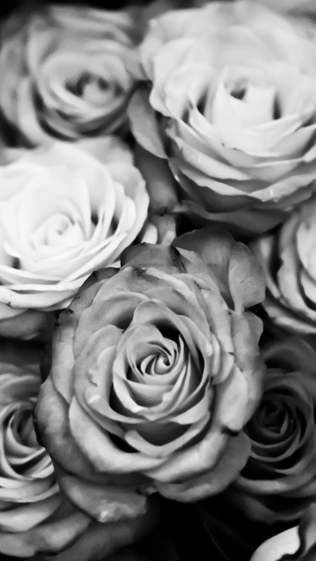 Free download Black And White iPhone Wallpaper [1080x1920] for your  Desktop, Mobile & Tablet | Explore 29+ Black and White Roses iPhone  Wallpapers | White And Black Wallpapers, Black And White Background,