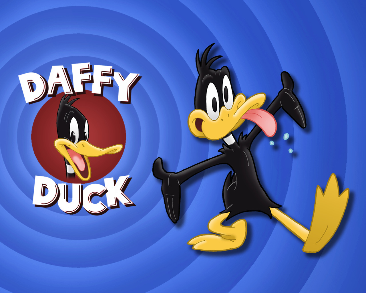 Animation Pictures Wallpaper Daffy Duck