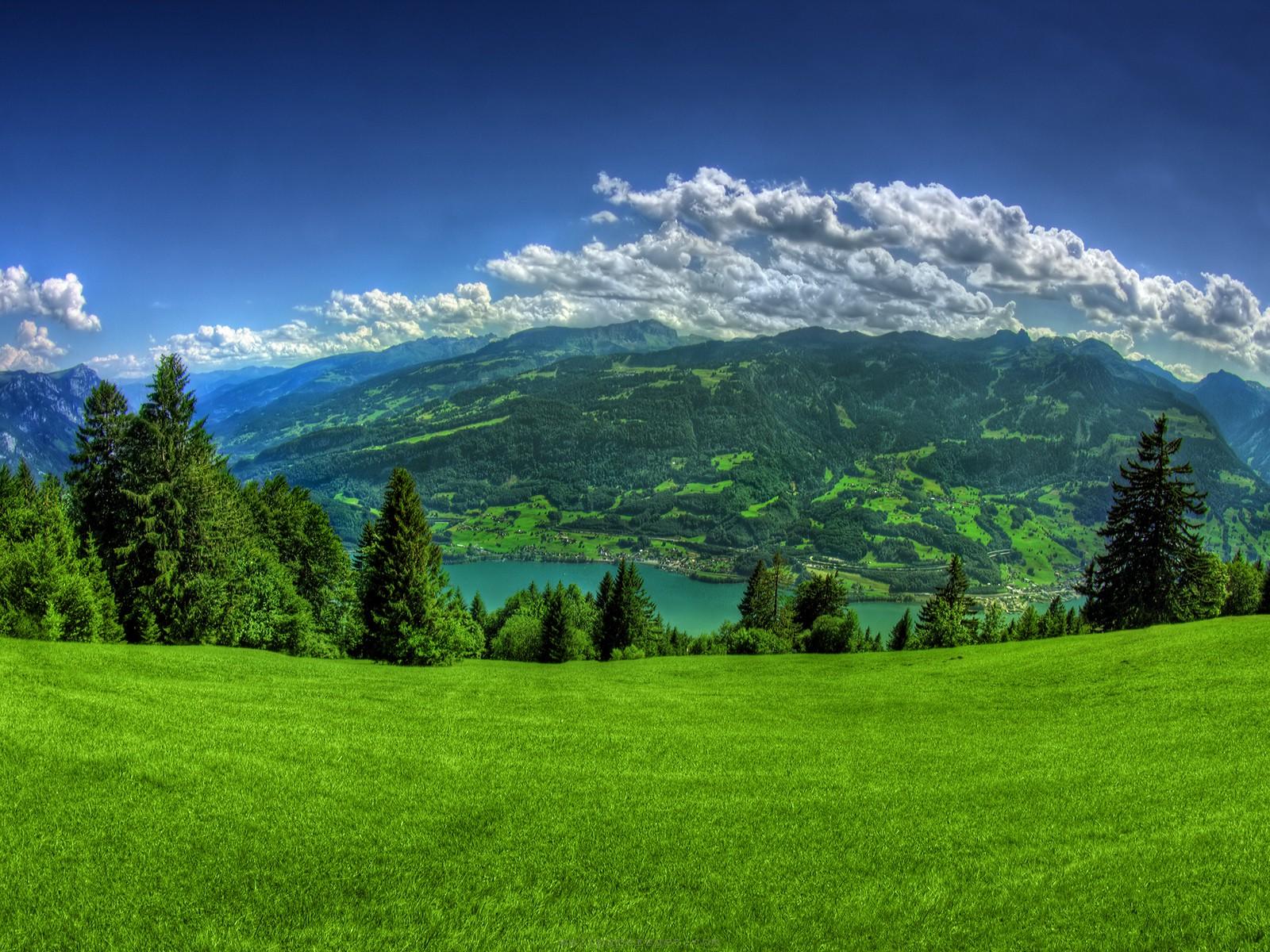 Beautiful Green Backgrounds Top Wallpaper For Laptop Backgrounds
